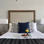 Mvr-Modern Touches Coconut Grove Warmth